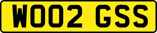 WO02GSS