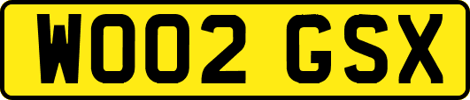 WO02GSX