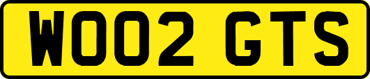 WO02GTS