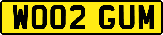 WO02GUM