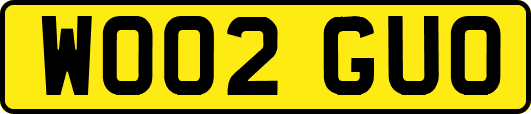 WO02GUO
