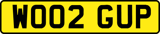 WO02GUP