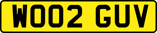 WO02GUV