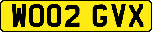 WO02GVX