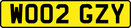 WO02GZY