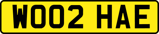 WO02HAE