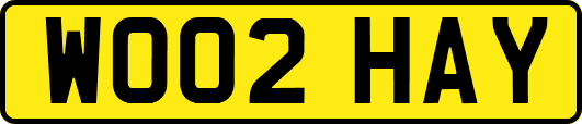 WO02HAY
