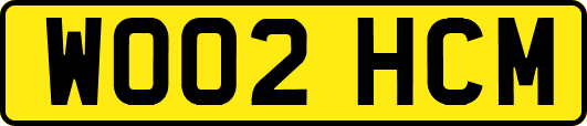 WO02HCM