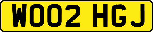 WO02HGJ