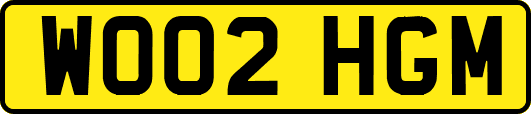 WO02HGM