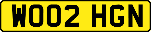 WO02HGN