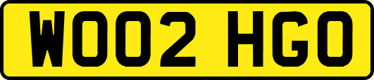WO02HGO