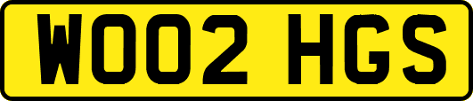 WO02HGS