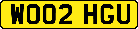 WO02HGU
