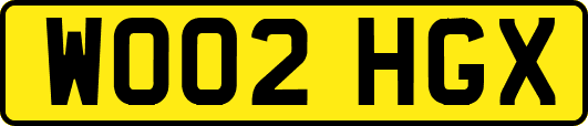 WO02HGX