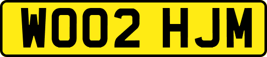 WO02HJM