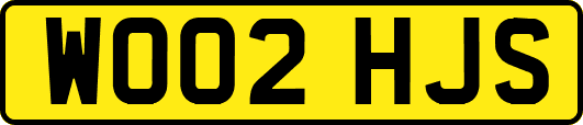WO02HJS