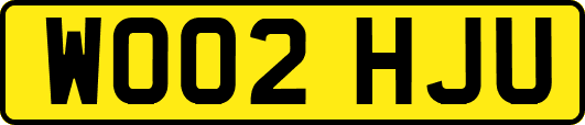 WO02HJU