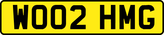 WO02HMG