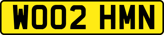 WO02HMN