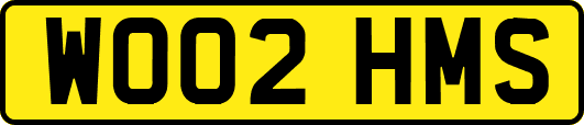 WO02HMS