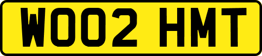WO02HMT