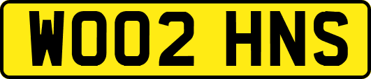 WO02HNS