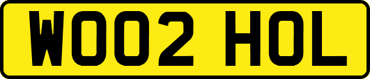 WO02HOL