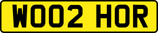WO02HOR