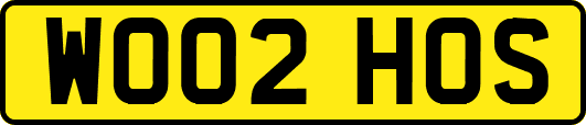 WO02HOS