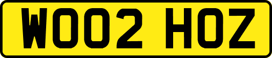 WO02HOZ