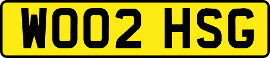 WO02HSG
