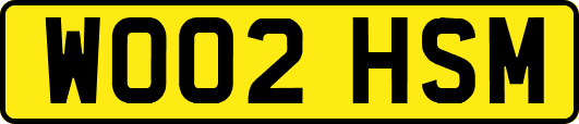 WO02HSM