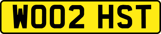WO02HST