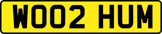 WO02HUM