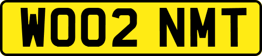 WO02NMT