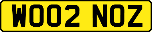WO02NOZ