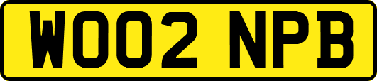 WO02NPB
