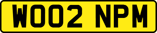 WO02NPM