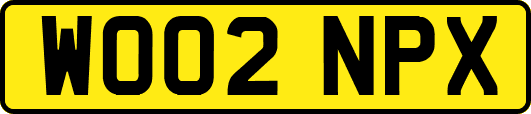 WO02NPX