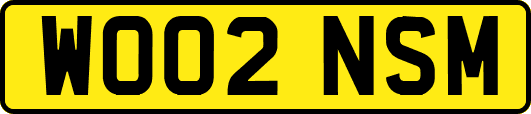 WO02NSM