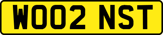 WO02NST