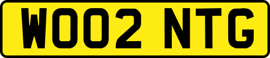 WO02NTG