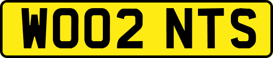 WO02NTS
