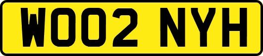 WO02NYH