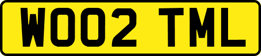 WO02TML