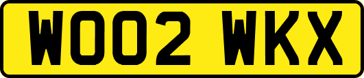 WO02WKX