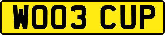 WO03CUP