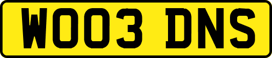 WO03DNS