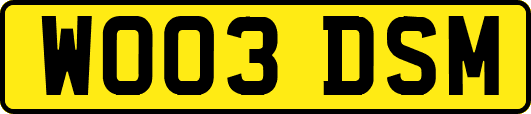 WO03DSM